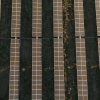 Goulburn River Solar Farm - New South Wales