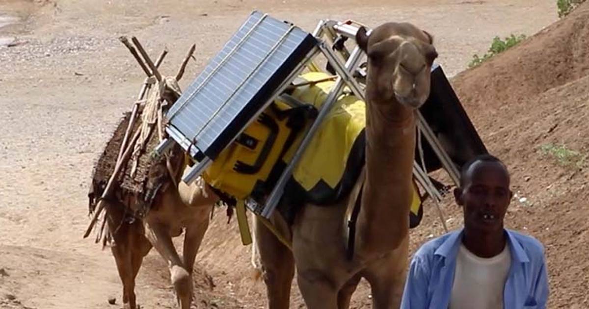 Solar powered camel library
