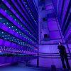 Solar powered vertical farm