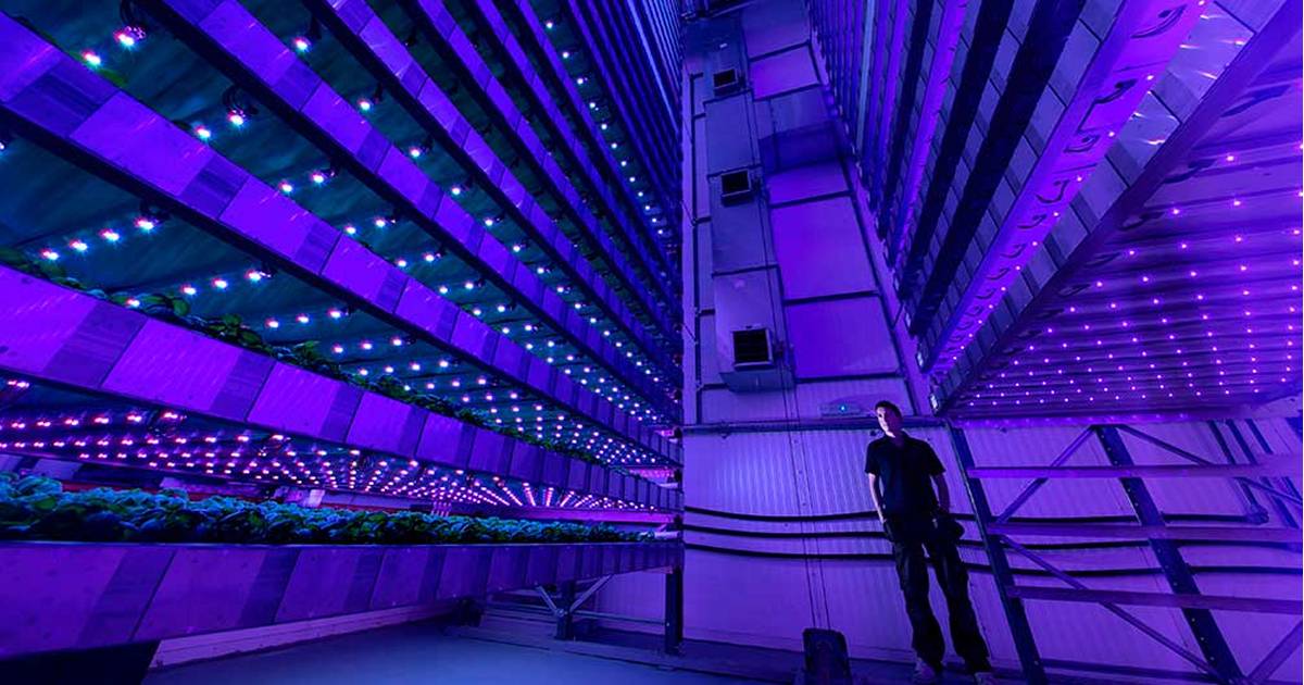 Solar powered vertical farm