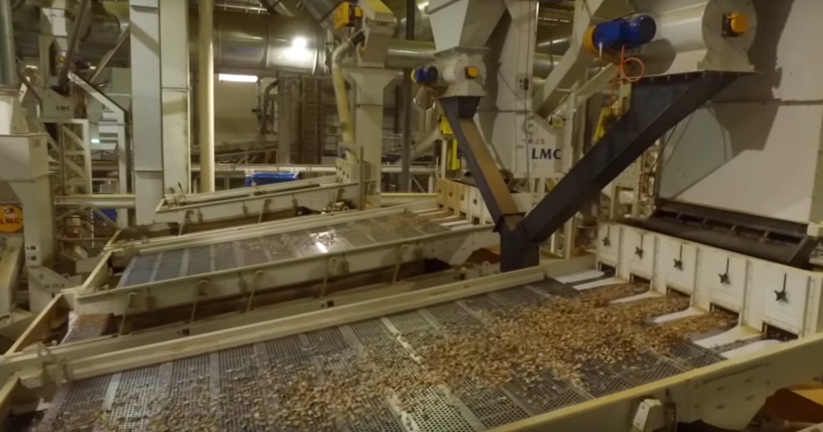 Solar to power Australian almond production