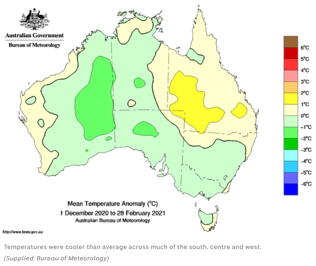 Mean temperature anomaly