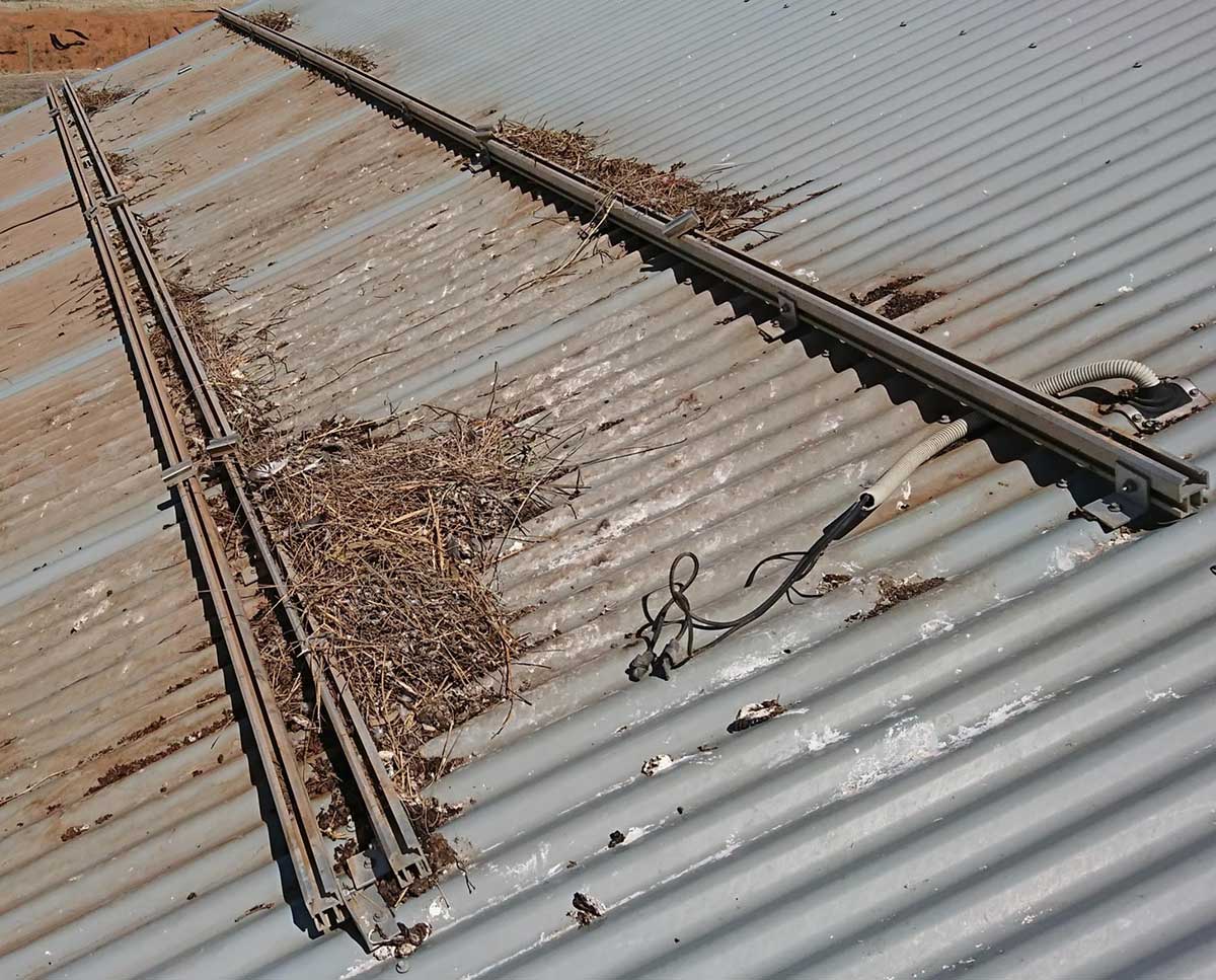 birds nesting in solar panel mounting rails