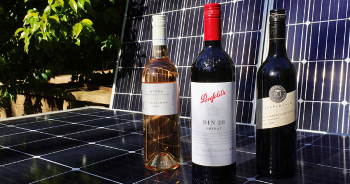 Treasury Wine Estates and solar power