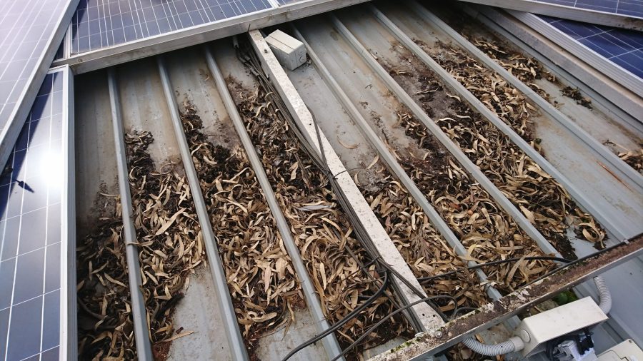 Leaves caught under solar panels