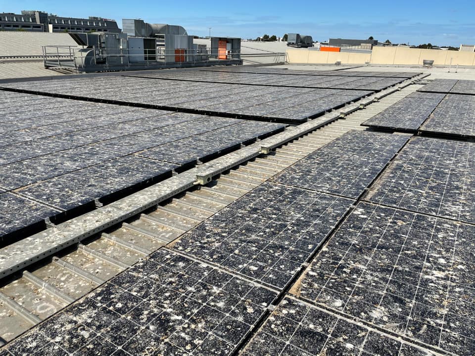 Pigeon poop on solar panels