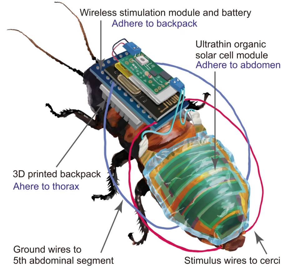 Solar cyborg cockroach diagram