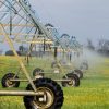 Irrigation in Tasmania