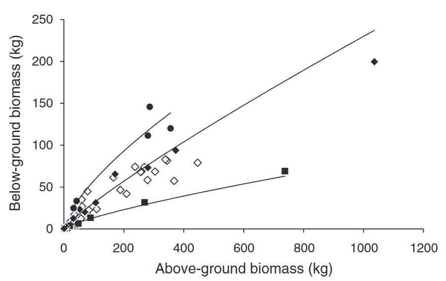 Below-ground biomass