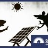 Preventing pests from damaging solar panels