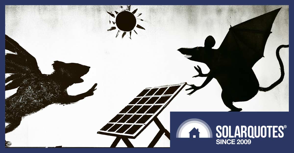 Prevent pests from damaging solar panels