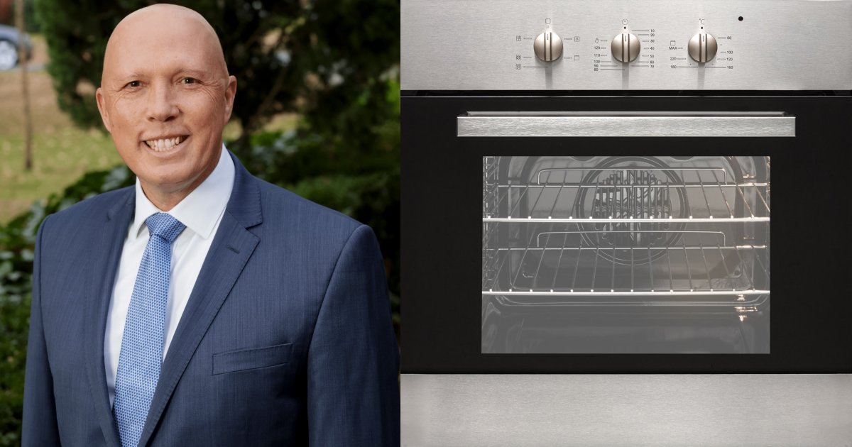 Peter Dutton on home batteries