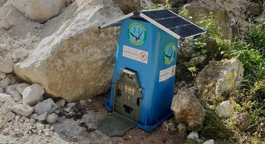 Wheelie bin protecting solar powered cat trap