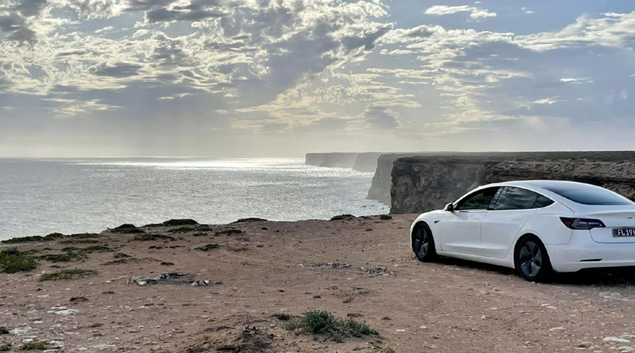 Tesla at a lookout in Western Australia