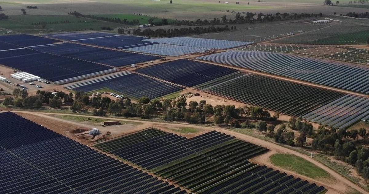 Wyalong Solar Farm