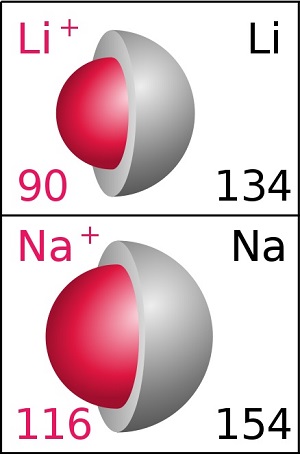 Lithium versus sodium ionic radius.