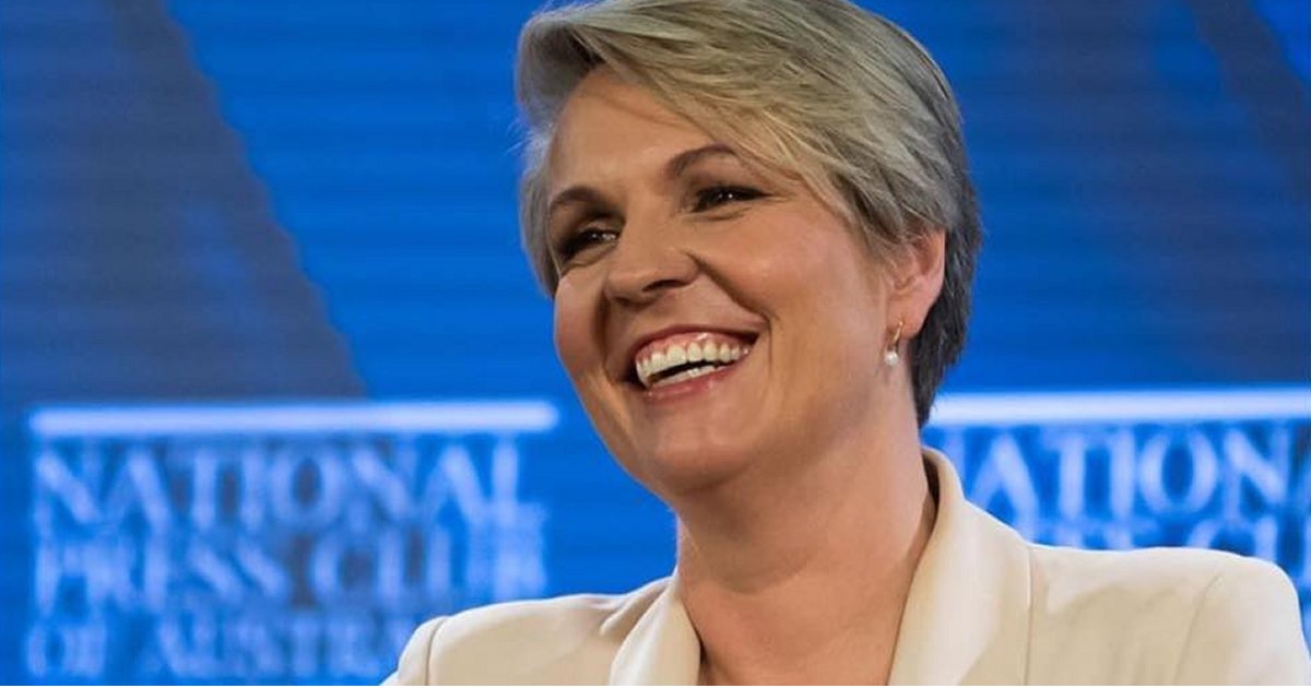 Tanya Plibersek - renewable energy