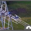 powerline constructors at work