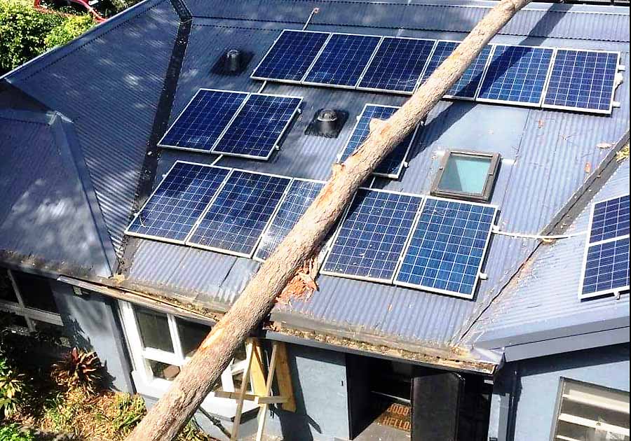 Rooftop solar panels tree damage