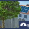 Overshadowing trees vs solar panels