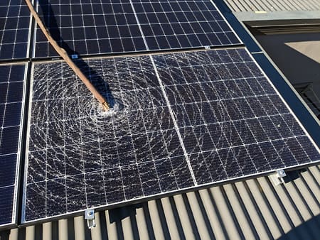 Tree damaged solar panel