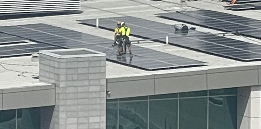 workers standing on a solar array
