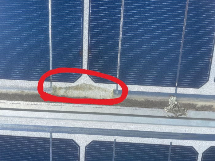 faulty trina solar panel