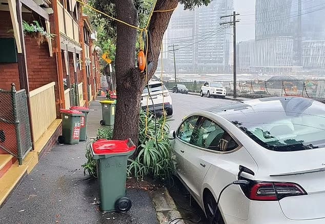 EV charging cable over a tree