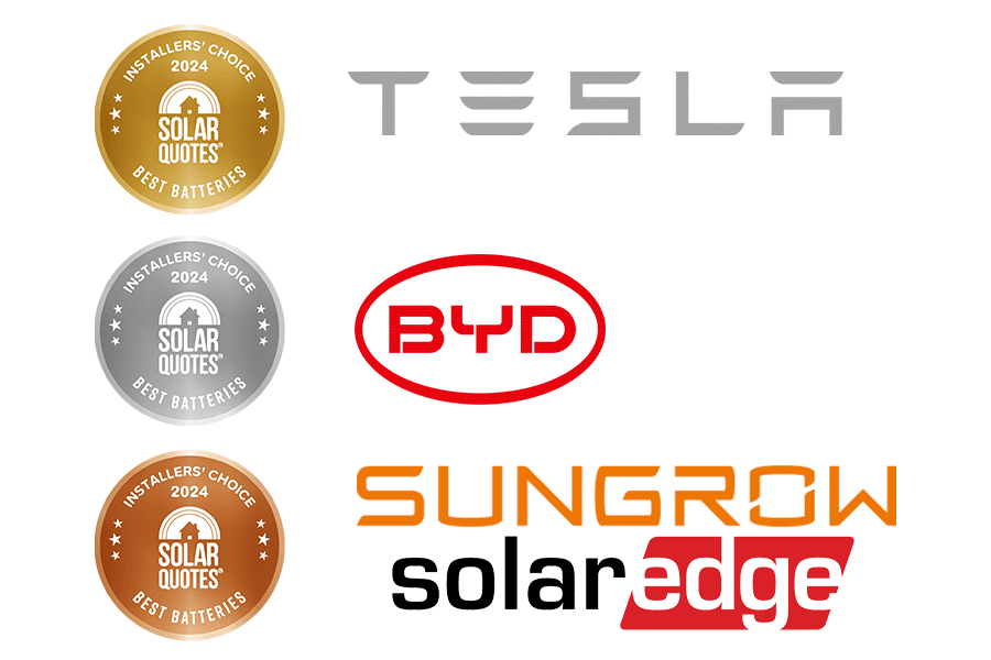 Best batteries 2024 award winners