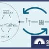 National Consumer Energy Resources Roadmap