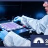 Perovskite solar panels