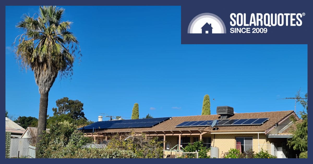 palm tree shading solar panels on a roof