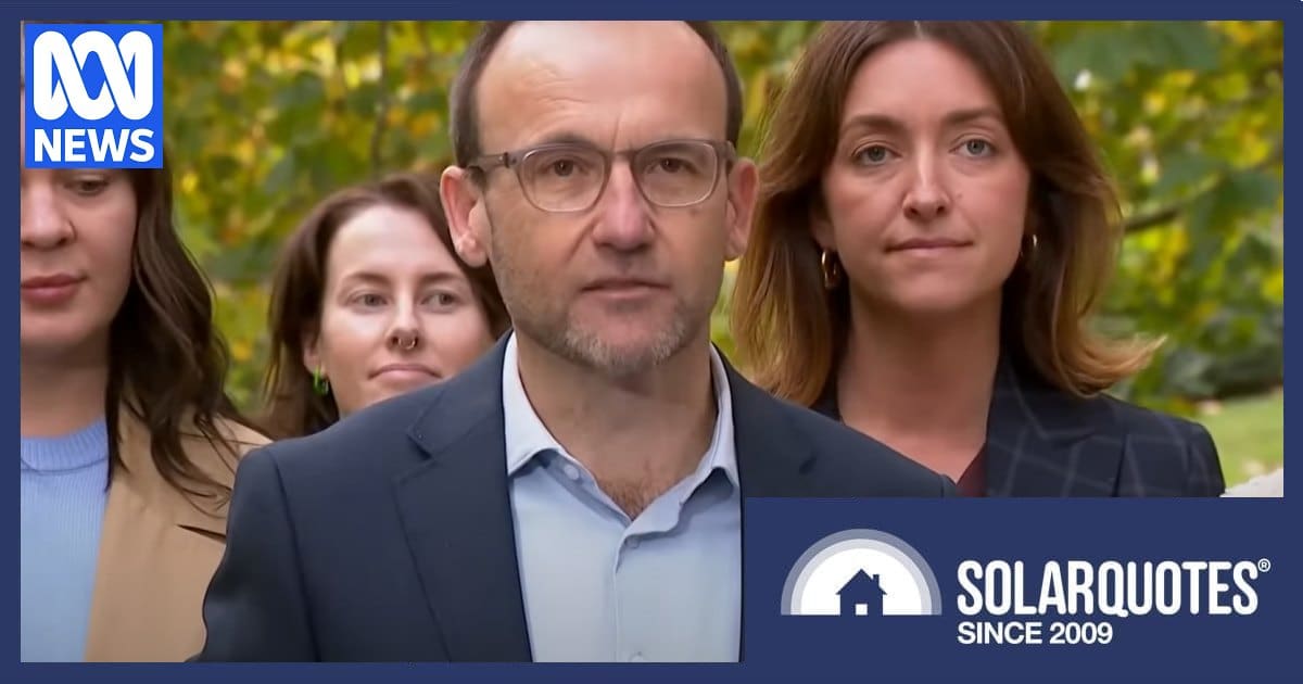 The Greens - Adam Bandt