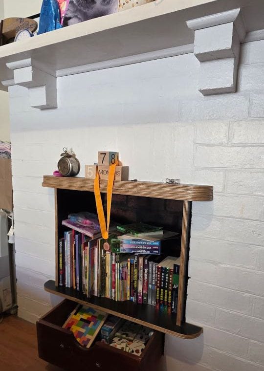 bookshelf in a fireplace