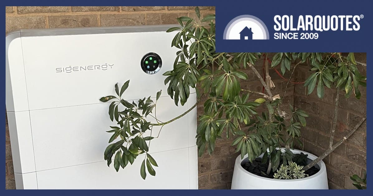 A home battery next to a pot plant.