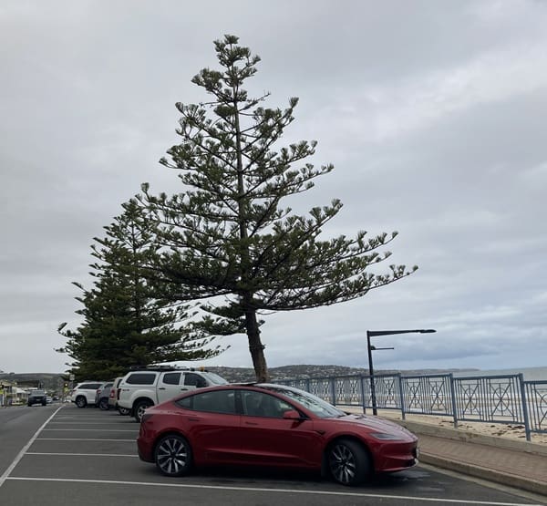 A Tesla by the beach.