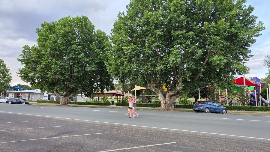 Gundagai main street