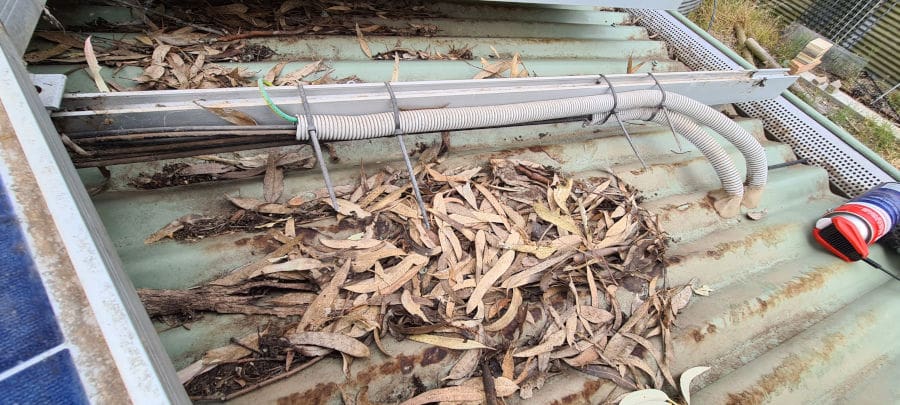 leaves collected under a solar array