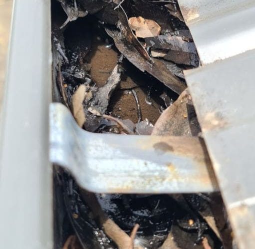 gutter full of leaves