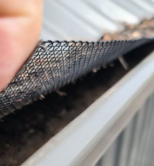 gutter mesh