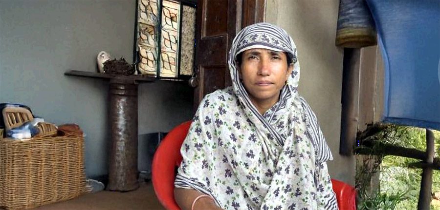 Hamida's Pollinate story