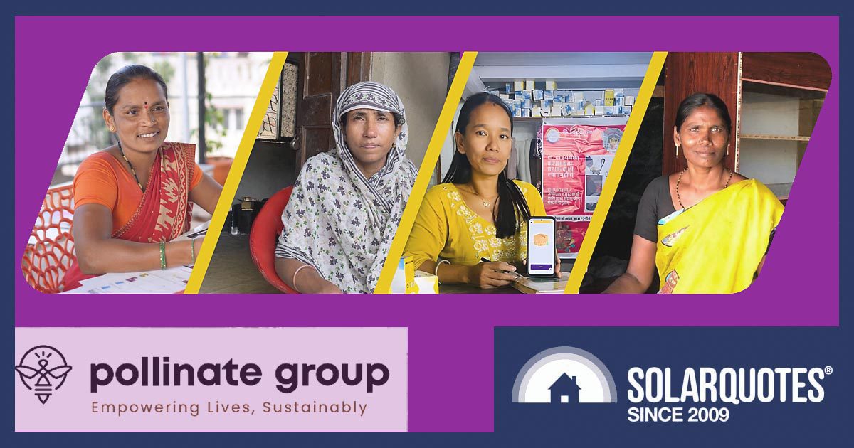 Pollinate report 2025