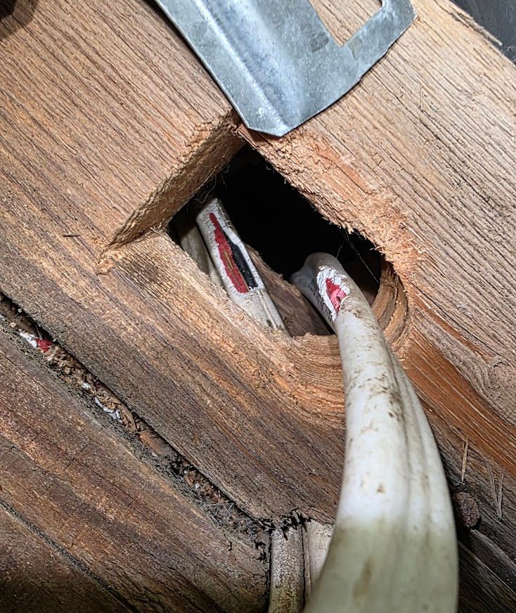 rat chewed wiring