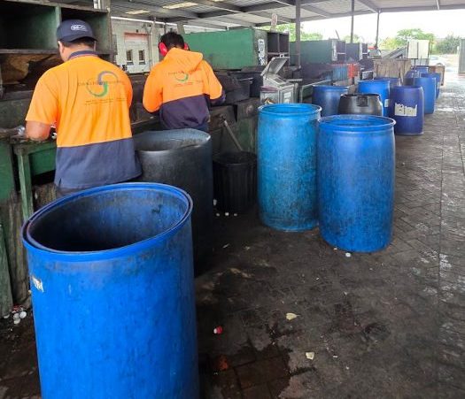 sorting recycling