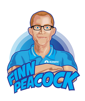 Finn Peacock - Good Solar Guide