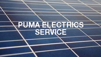 Puma Electrics Service