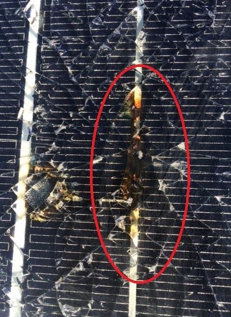 hot spot on solar panel