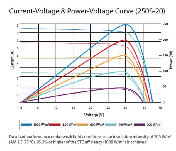 suntech IV curve